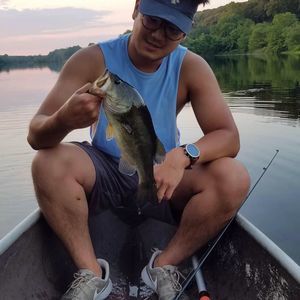 Meet your Posher, Alan